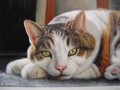 Cat Oil Portrait