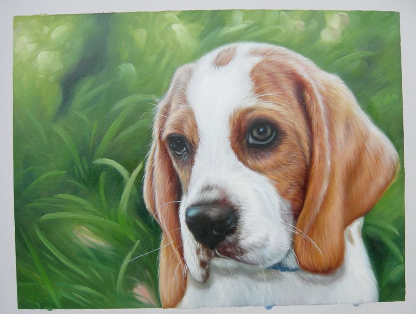 Male Puppy Oil Portrait